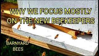 Why We Focus Mostly On The New Beekeepers