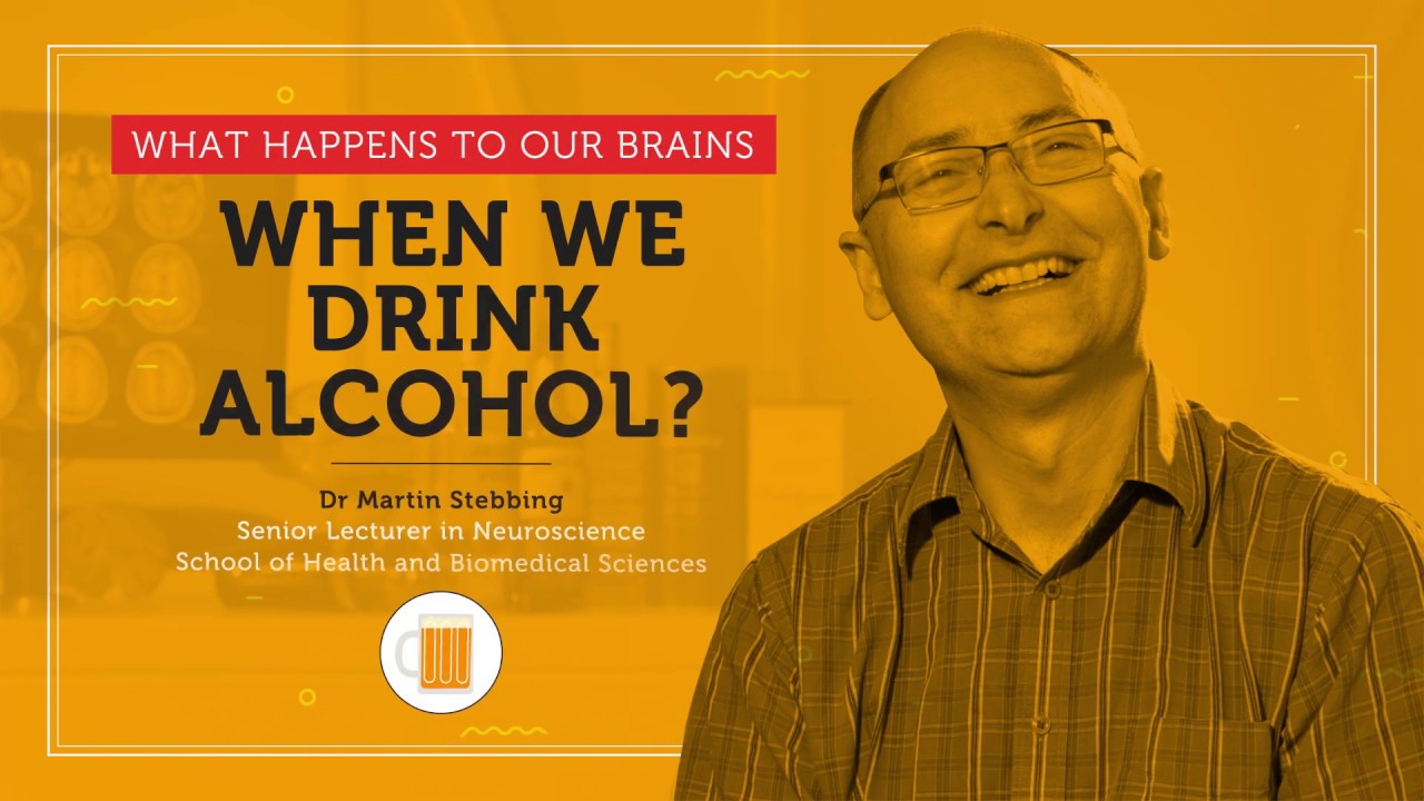 what-happens-to-our-brains-when-we-drink-alcohol-rmit-university