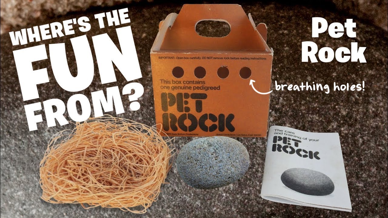 The Pet Rock set off Elmo, but Who set off the Pet Rock??