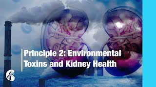 Principle 2: Environmental Toxins and Kidney Health