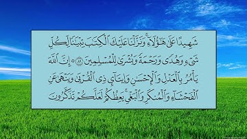 سورة النحل (الآية 84 ~ الآية 93) -  ياسر بن راشد الدوسري