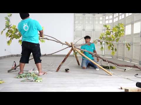 Video: Cara Membuat Pohon Paskah Untuk Dekorasi Interior