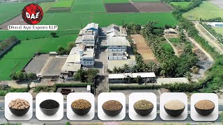 Dhaval Agri Exports LLP I Corporate Video I India's Largest Exporter of Sesame Seeds