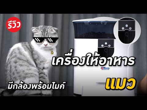 วีดีโอ: ทำไมคุณต้องมีเครื่องให้อาหารแมวอัตโนมัติ