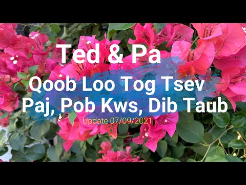 Video: Oak txiv apples puas muaj tshuaj lom?