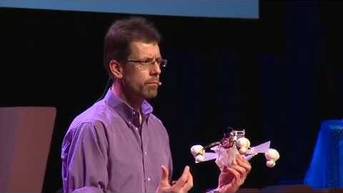 The row bot that feeds on pollution  Jonathan Rossiter  TEDxWarwickyoutube com