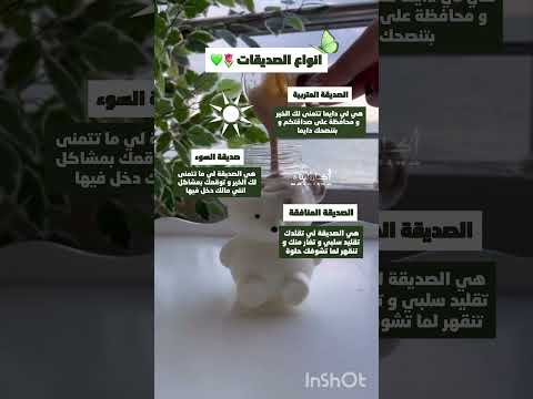 فيكتورينا اطلق دو فيكتورينا لحياة افضل نصائح كارولينا للتغيير عالم النصائح