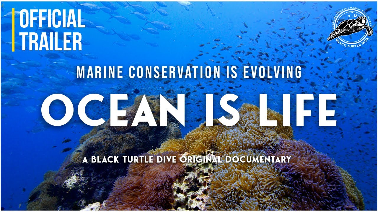 Marine Conservation Courses Koh Tao in Thailland, image size:1280x720