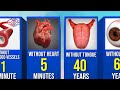 Life without organs survival time comparison