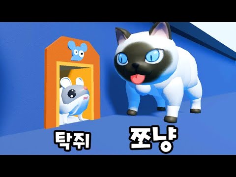 쪼냥이한테 잡아 먹혔어요!! 로블록스 탁주 쪼꼬