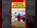 CM Mohan Yadav sowed paddy with farmers Viral Video | CM मोहन यादव ने खेत में किया धान रोपण #shorts