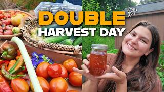 Harvest With Me | Garden Vegetables + Flow Hive Honey!