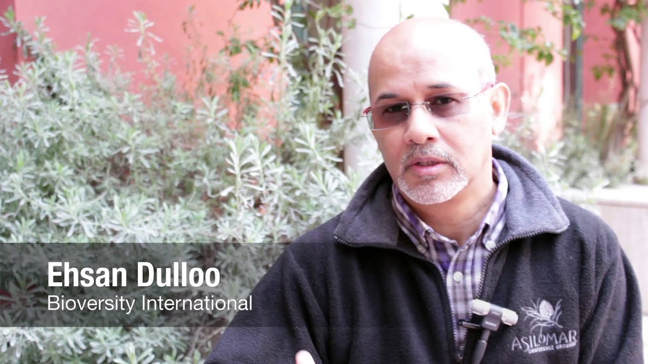 Crop wild relatives - a key asset for sustainable agriculture