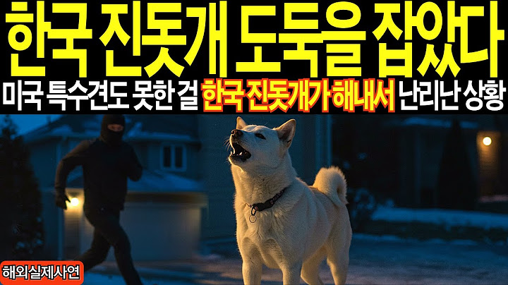 [해외감동사연] “이런 개는 처음입니다” 한국 진돗개가 보여준 능력… 캐나다 언론까지 난리난 상황