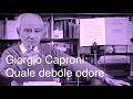 Giorgio Caproni: Quale debole odore