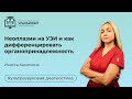 Неоплазии на УЗИ и как дифференцировать органопринадлежность , лектор Инесса Касаткина