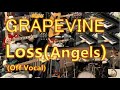 GRAPEVINE - Loss(Angels) [全パート弾いてみた](歌なし)