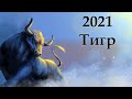 Китайский гороскоп на 2021 год : Тигр