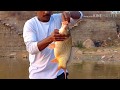 Big fishhyderabad fish hunting howtstanding 3kg gold fish catching