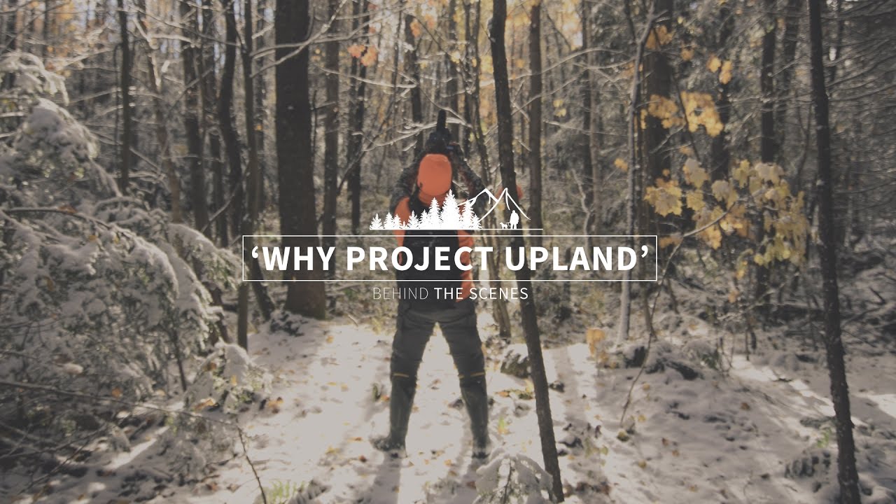 Why Project Upland- Behind the Scenes of the Bird Hunting Videos Series
