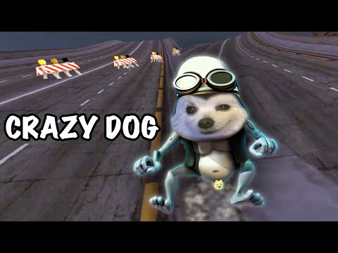 Crazy Dog - Axel F 강아지 리믹스 ( Crazy Frog - Axel F - Dog Version )