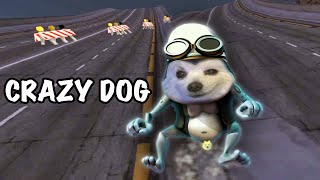 Crazy Dog - Axel F 강아지 리믹스 ( Crazy Frog - Axel F - Dog Version ) Resimi