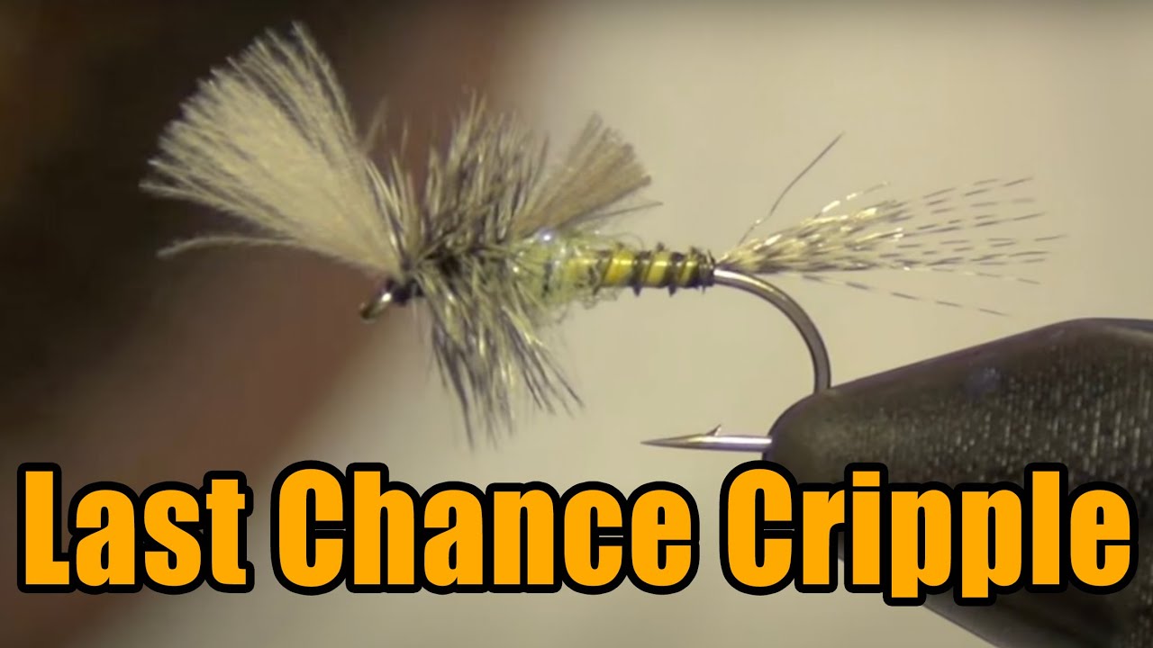 Last Chance Cripple Fly Tying - Rene Harrop Fly Pattern 