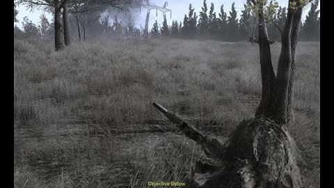 COD MW 1 All Ghillied Up Perfect Run