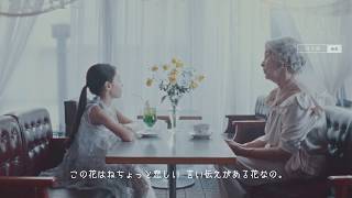 Download Lagu 三越伊勢丹花々祭 『WILD FLOWERS』short movie _15秒short ver. MP3 Download Lagu 三越伊勢丹花々祭 『WILD FLOWERS』short movie _15秒short ver. MP3