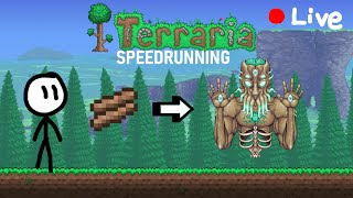 Spending 1 Year Learning How To Speedrun Terraria [Week 20]