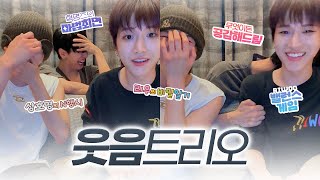 [보넥도] 웃음 트리오 상호명 라이브.zip