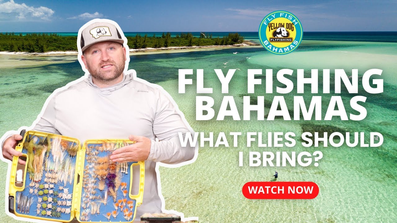 Essential Flies for Fly Fishing in The Bahamas YouTube