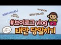 #VLOG 1  악다구니 운전데이 태안 타녀오기 #삼첩분식 #태안카페