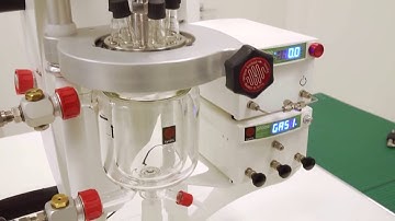 Globe Jacketed Reactor - in Detail