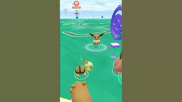 **SHINY EEVEE** [PokémonGo]shiny catch #1 Shiny Eevee caught in the wild. #shorts