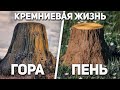 Иная форма жизни существовала на земле в прошлом