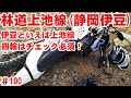【全線収録】伊豆でいちばん好きな林道上池線【四輪はチェック必須】