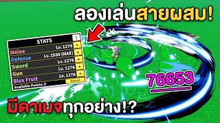 เมื่อผมลองอัพ Stats สายผสม! มีดาเมจทุกอย่างจะโกงมั้ย!?! (Blox Fruits)