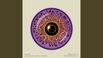 Hot Love & The Lazy Poet (Live)