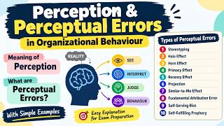 Perception & Perceptual Errors in Organizational Behaviour | Meaning, Types & Examples