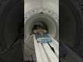 Вот ради таких пациентов мы любим свою работу 🩺🐾