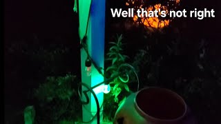 Strange Issue With The Smart String Lights