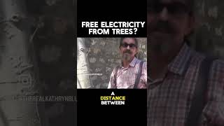 Electricity From Trees Charge Your Phone From A Tree
