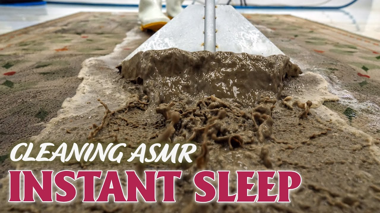 Deep Carpet Cleaning ASMR – Soothing Brushing & Rinsing Sounds for Sleep