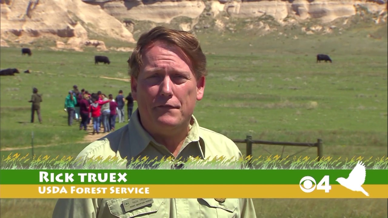 GrasslandsLIVE: A Distance Learning Adventure - YouTube