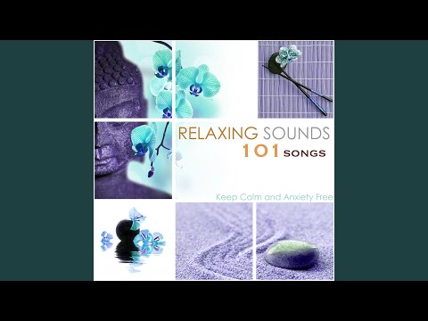 Relaxation Ambient