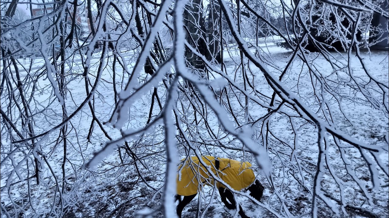 Video nro 55. Lankahommelit retkeilee sekä luonnossa, että lankakaupassa. 