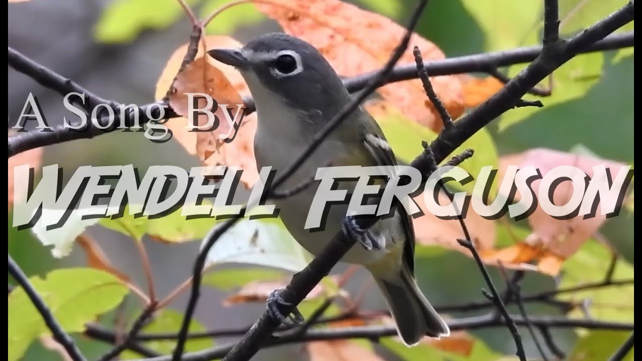Wendell Ferguson - The Bird Bros Theme Song