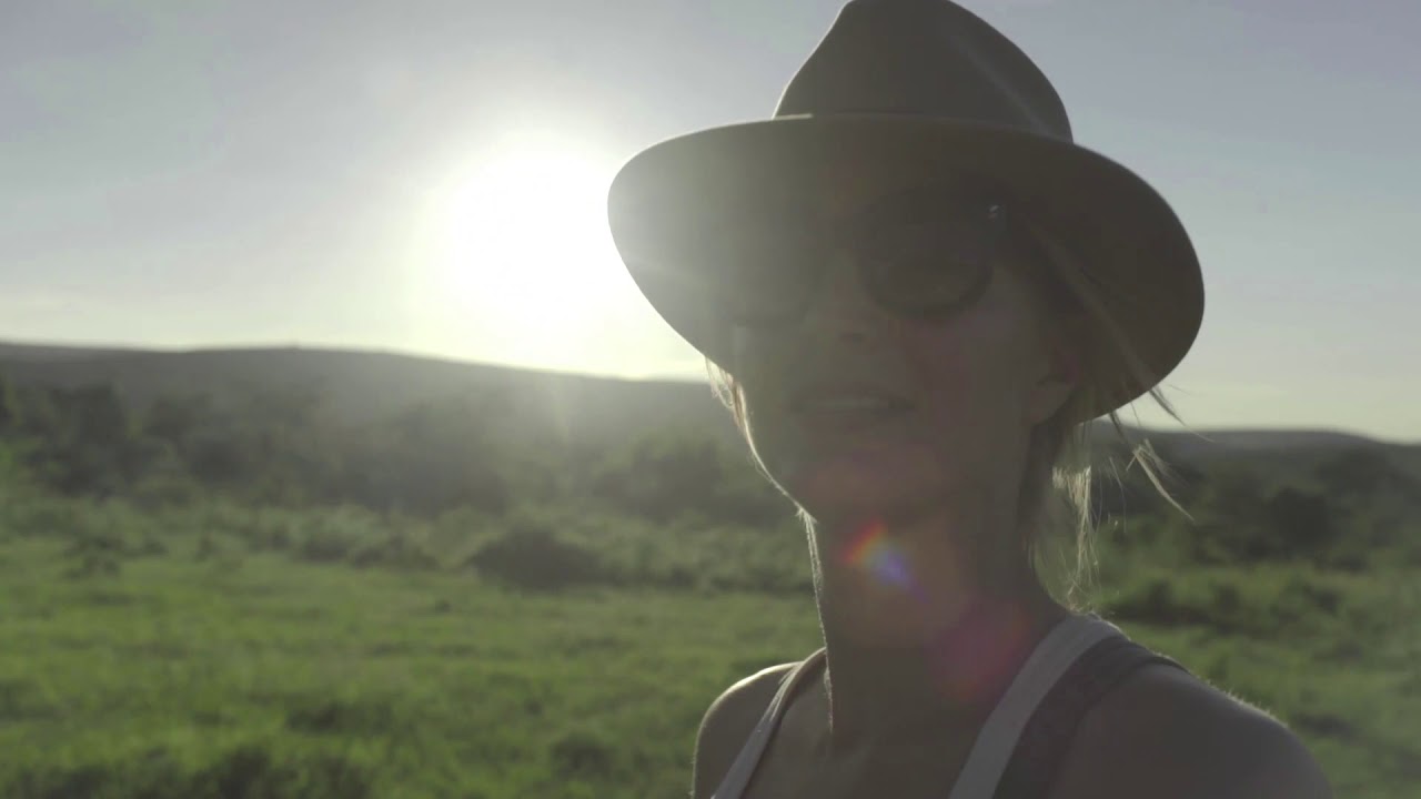 Offbeat Safaris Video All Lodges With Titles 1.3