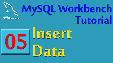 MySQL Workbench, 5, Insert Data ke Table, Database Untuk Visual Basic Express 2010